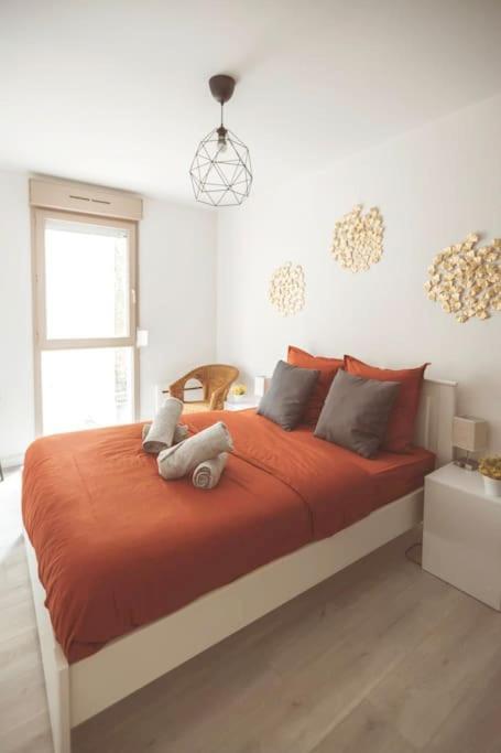 Le Cocon Manceau Apartment Le Mans Exterior photo